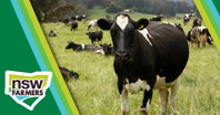NSW Farmers Dairy Industry Forum - Online